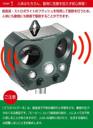 楽天市場 安心の返品保証付き 猫よけ 猫除け 庭に入って ふん や 尿 をして困る お困り動物を超音波で優しく対策 野良猫 のら ノラ 野良 ねこ ネコ 鳥よけ 鳥 強力 超音波 コウモリ 猫 フン 対策 グッズ 糞 犬 避け 鳥害 超音波動物撃退器 糞 尿 獣害 ガレージ