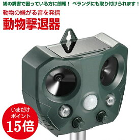 楽天市場 猫よけグッズの通販 楽天市場 猫よけグッズの通販