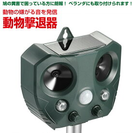楽天市場 猫よけグッズの通販
