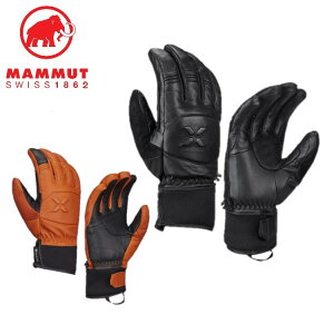 y9/30܂ŃGg[P5{z25H~}[g MAMMUT Y fB[X (jZbNX) ACK[ t[ O[u 1190-00490 h h  O[u Xm[{[h XL[ ~oR obNJg