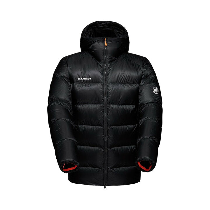 楽天市場】お薦め品 マムート MAMMUT メンズ タイス プロ 