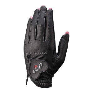 y9/30܂ŃGg[P5{zLEFC St Callaway fB[X lC fA O[u ubN[葕p/LTCY] 5325161 tBbg Obv OlC wJbgf 