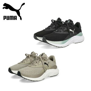y10蒊IPobNzEߕi v[} PUMA fB[X SOFTRIDE Cu EBY 310160 C V[Y Xj[J[ jbgAbp[ NbV