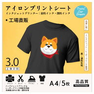 TransOurDream 真正のアイロンプリントシート 黒色・濃色・カラー生地用 転写紙 アイロンプリント用紙 イ…