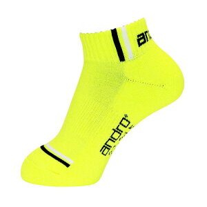 ݌ɂ葦[yandrozAh 362066 Ah ^[iJ[\bNX II [lICG[]y싅piz싅\bNX/싅pCyRCPz