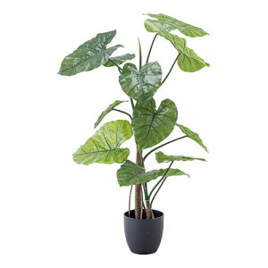 �����������������[�J�[�����i�����J��AZUMAYA GRN-16 �t�F�C�N�O���[�� �N���Y�C���y�O���[���z(�L�����Z���s��/����������s�����O��s�U��or�J�[�h���ς̂�)[�l�H�A��/�C���e���A/�A�[�g/