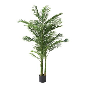 [J[iJAZUMAYA GRN-19 tFCNO[ AJV(LZs/sOsUorJ[hς̂)[CeA/A[g/A[eBtBV]ʌς