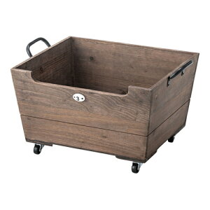 [J[iJAZUMAYA LFS-177BR LX^[t{bNXyuEz(LZs/sOsUorJ[hς̂)[Xg[W/[/[BOX]yRCPz