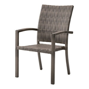 [J[iJAZUMAYA NRS-430C `FAyuEz(LZs/sOsUorJ[hς̂)[K[f][g]yRCPz