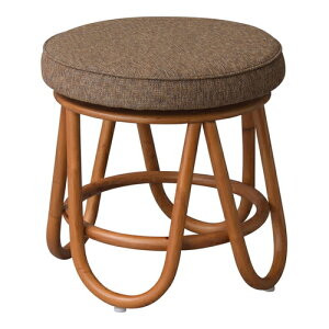 [J[iJAZUMAYA NS-538BR [ ]Xc[yuEz(LZs/sOsUorJ[hς̂)[/CX/֎q/|/ی^]yRCPz