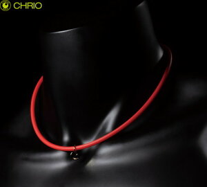 yCHRIOzNI 04663 At@O lbNX M (48cm)[t@C[bh][X|[cANZT[/X|[clbNX/y/VRf/`[/Nu//W//g[jO/^/V