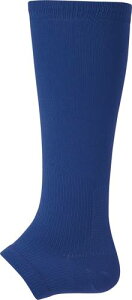 yDESCENTEzfTg C8403-ROY L^J[XgbLO[C] [\bNX/K/vNeBX/O\bNX/싅/\tg{[//Nu] Nx:20SS yRCPz