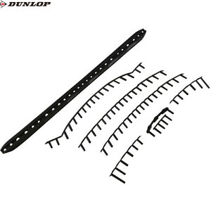 yDUNLOPz_bvejX DS22204G SX 600 pObg[ejX/ejXPbg/p/p[c/ANZT[]yRCPz