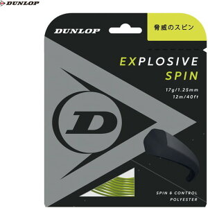 yDUNLOPz_bvejX DST11001-300 GNXvbVuEXs EXPLOSIVE SPIN[CG[][ejX/dejX/XgO/dKbg/ejXpXgO/vgp/|GXen]yRCPz
