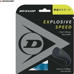 yDUNLOPz_bvejX DST11021-057 GNXvbVuEXs[h EXPLOSIVE SPEED[u[][ejX/dejX/XgO/dKbg/ejXpXgO/|GXen]yRCPz