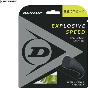 yDUNLOPz_bvejX DST11021-300 GNXvbVuEXs[h EXPLOSIVE SPEED[CG[][ejX/dejX/XgO/dKbg/ejXpXgO/|GXen]yRCPz