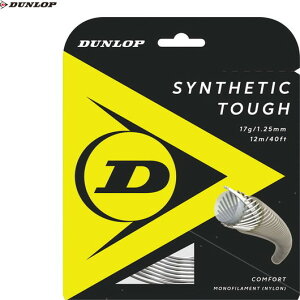 �yDUNLOP�z�_�����b�v�e�j�X DST21001-250 �V���Z�e�B�b�N�E�^�t SYNTHETIC TOUGH[�z���C�g][�e�j�X/�d���e�j�X/�X�g�����O/�d���K�b�g/�e�j�X�p�X�g�����O/�i�C�����n]�yRCP�z