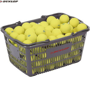 yDUNLOPz_bvejX DSTBYLP120 \tgejX{[ F(CG[) 10_[X oXPbg[CG[][\tgejX/ejX/{[/F/{[oXPbg/JS]yRCP