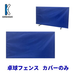 y싅IWiz6490331 XeCuCgtFX(Jo[)y싅piztFX/lbg/싅yRCPz