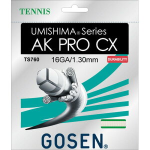 GOSENS[Z TS760NA E~V} UMISHIMA AK PRO CX 16[i`][ejX/dejX/Kbg/XgOX/dejXp/Q[W:1.30mm/w/n[hqb^[//Nu]yRCPz