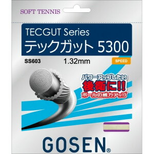 GOSENS[Z SS603NA ebNKbg5300(i`)[ejX/Kbg/ւ/K/vNeBX//Nu]yRCPz