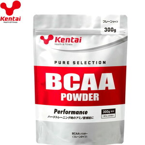yKentaizP^C K5111 BCAApE_[ v[^Cv 300g[pE_[//Tvg/Hi]yRCPz[8]