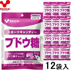 yKentaizP^C K8413 X|[cLfB[ uhE (12ܓ)[//LfB[/^/W/Nu//`[/g[jO/uhE/r^~b1/h{@\Hi/X|[c/N̗͌