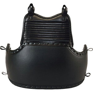 yNUNzN() KUSAKURA R100DJS/R100DS @h (cNp/Np) {@F[{@/S/ی/h/p/pi]yRCPz