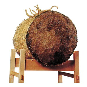 yNUNzN()KUSAKURA UM20/UM50 |p (TCY:ړ/ڌ)[|/|p/|pi/m]yRCPz