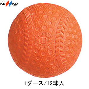 yNAGASE KENKOziKZPR[ DD PR[{[ D (1_[X/12) [싅/{[/x[X{[/싅p{[/F]yRCPz