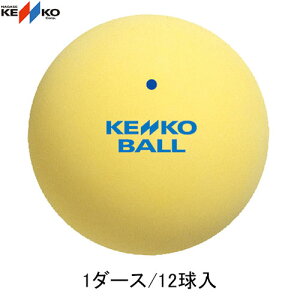 yNAGASE KENKOziKZPR[ TSSYV PR[\tgejX{[EX^_[h (1_[X/12) y󒍏o׃bg12z[CG[][\tgejX/ejX/\tgejX{[