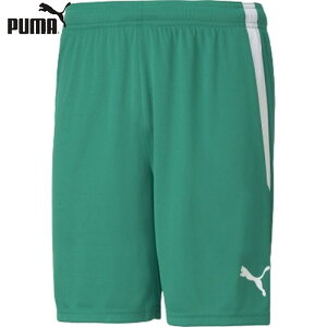 yPUMAzv[} 705151-05 TEAMLIGA Q[pc[ybp[O[][n[tpc/Y{/pc/YTCY/TbJ[/tbgT//Nu/`[]yRCPz