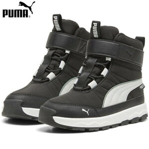 yPUMAzv[} 392649_02 G{u u[c sAebNX AC{PS[v[} ubN/O[ tHbO][Xj[J[/V[Y/C/Nc//u[c/nCJbg/~/PUMA Black//Green Fog/