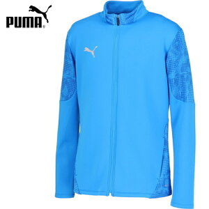 yPUMAzv[} 660105 TEAMCUP TR WPbg yElectro Royalz[Y/WPbg/g[jOEFA/X|[cEFA/z/Xgb`/y/₷//tH/W//lC/