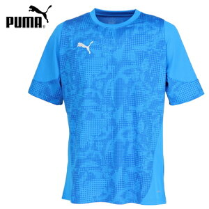 yPUMAzv[} 660213 TEAMCUP TR SSVc yElectro Royalz[TbJ[/g[jOEFA/X|[cVc/Y//z/jtH[//tBbglX/^/y/ʋC/