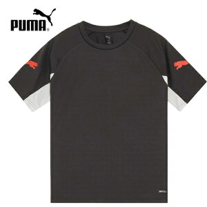 �yPUMA�z�v�[�} 660962-01 INDIVILIGA SS�V���c�yPUMA Black-PUMA Red-Gray Echo�z[�����V���c/�����Y/�X�|�[�c/�g���[�j���O/�T�b�J�[/����/�y��/����/�ʋC��/�����₷��/���K/�t�B�b�g/�W��/�����j���O/���i