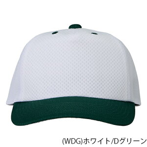 Rawlings[OX AAC15S02 vNeBXLbvyzCg/DO[/ubN/lCr[/bh/GW/Cu[z[Kp싅X/AWX^[tLbv/bVLbvj