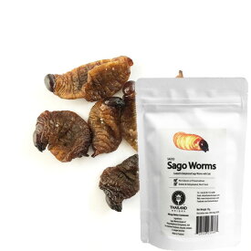 【アールオーエヌ】RON昆虫食 TIU0005 SagoWorms15g (サゴワーム10g) 今後の人類社会の食糧として環境負荷が少ない食べ物としても期待されている昆虫食です。Entomophagy, Insect eating！【RCP】[税8]