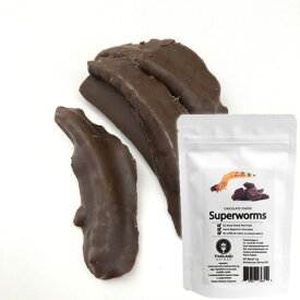 【アールオーエヌ】RON昆虫食 TIU2005 Chocolate coated superworms (チョコレートスーパーワーム) 今後の人類社会の食糧として環境負荷が少ない食べ物としても期待されている昆虫食です。Entomophagy, Insect eating！【RCP】[税8]