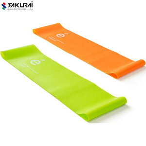 ySAKURAIzTNC 54183 gЂ[{fB[PA/{fBPA/g[jO/tBbglX/_^/GNTTCY/Xgb`/Soh/2{Zbg]yRCPz