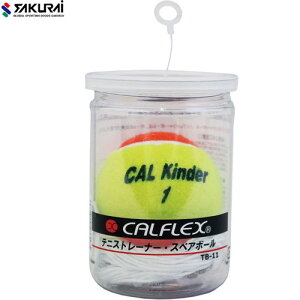 ySAKURAIzTNC TB31 CALFLEX (JtbNXj TT-31pXyA{[[ejX/ejX{[/dejX/[K/XyA{[/g[jO/q/qǂ/ǂ/LbY/WjA]yRCPz