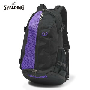 ��������������SPALDING���X�|���f�B���O 40-017VI �P�C�W���[ �u���[�Y �o�C�I���b�g[�u���b�N×�o�C�I���b�g][�o�X�P�b�g�{�[��/�����b�N/�J�o��/�g���[�j���O/����/�N���u]�yRCP�z