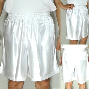 ݌ɂ葦[SPEED WINXs[hEB SW-2827-01 [zCg]vNeBXpc [V[Y:TbJ[AtbgTEFA]Nx:17SSyRCPz