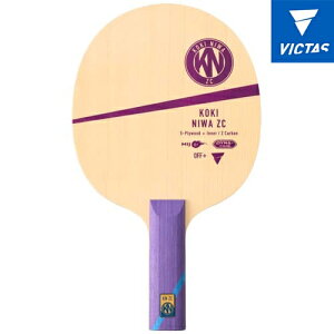 yVICTASzBN^X 310535 OHF ZC Ci[ ST(Xg[g) y싅pizVF[NPbg/싅/싅PbgyRCPz