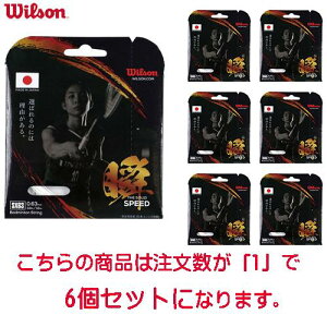 yWILSONzEC\ WR85002010 SX63 BADMINTON STRING SET Why󒍏o׃bg6z[oh~g/og~g/Kbg/oh~gXgO//Nu]yRCPz