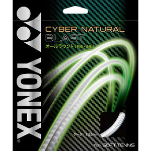 yYONEXzlbNX CSG650BL-580 TCo[i`uXg[LbhO[]y\tgejX/ejX/Kbg/Q[W:1.25mm×11m/I[Eh/Oq/q/XgO/\tgejXpizyRC