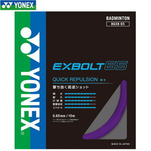 yYONEXzlbNX BGXB65-039 GNX{g65[p[v][oh~g/Kbg]yRCPz