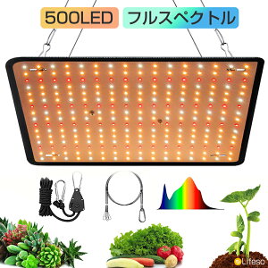 _撅50zN[|3880~^A琬Cg LEDA琬Cg pl 500LED Px z tXyNg y u^  USBd o L͈ ȃGl  A_v^[t 