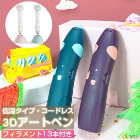 ＼先着50名★半額クーポンで3780円／子供 3Dペン フィラメント 13本 3Dペン コードレス 低温タイプ 安全 3Dアートペン インク 初心者 大人 3Dペンセット USB充電 スビート調整 56m 10色 PCL芯 フィラメント付き 立体絵画 DIY 手作り 想像力 創造力 知育玩具 おすすめ 人気