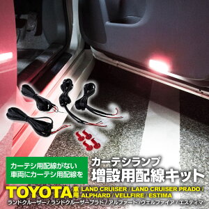 J[eVv ݗpzLbg g^ԗp 200n hN[U[ 150n hN[U[vh 20n 30n At@[h Ft@CA 50n GXeB} N AFy